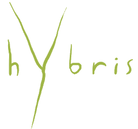 Hybris Green