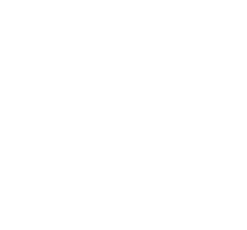 Hybris White